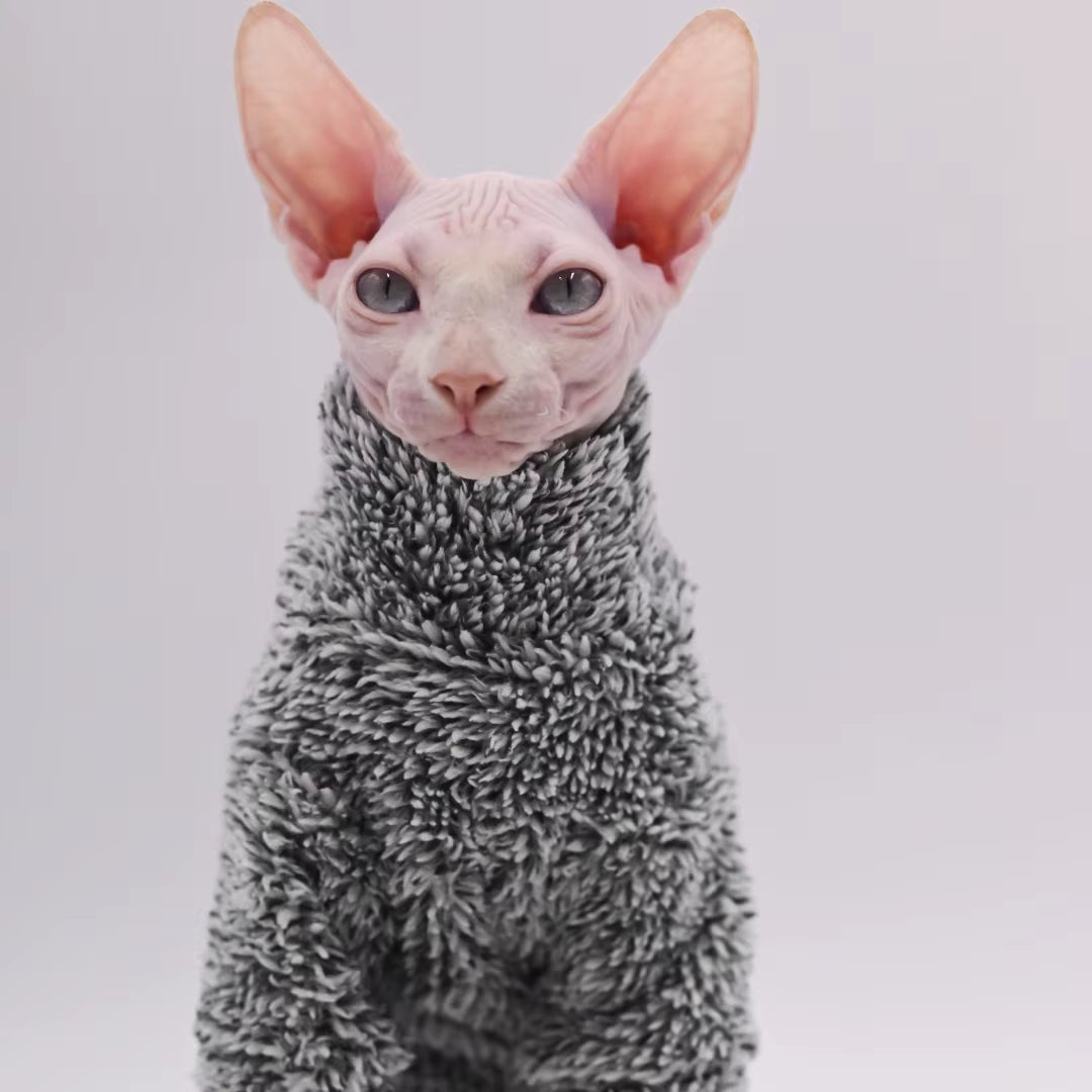 Warm Autumn/Winter Cat Outfit – Hairless & Sphynx Cats