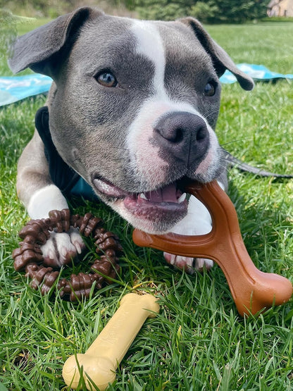  Tough Dog Toys for Aggressive Chewers - Toy Set