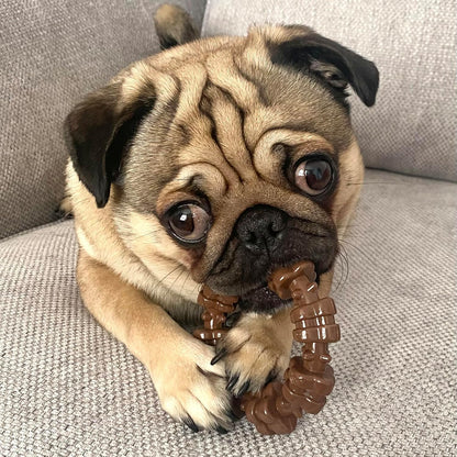  Tough Dog Toys for Aggressive Chewers - Toy Set