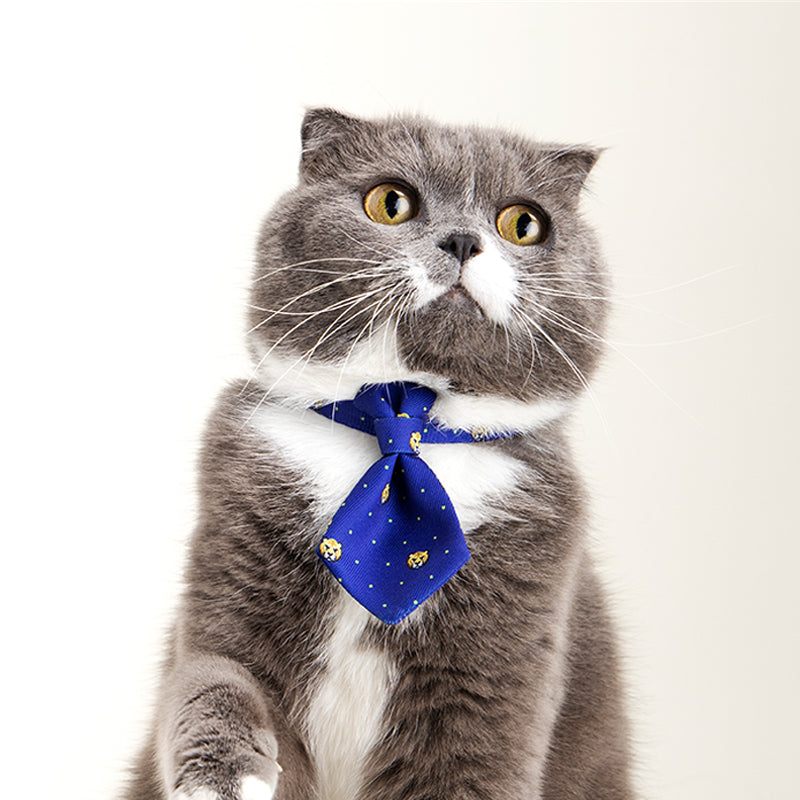 Adjustable Gentleman Collar with Tie – Formal Pet Accessory