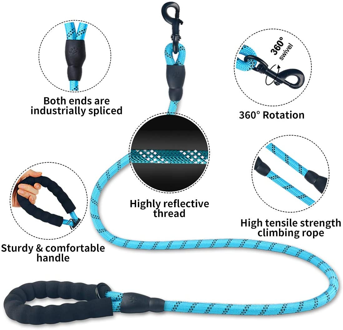 LED Luminous  Leash – Night Safety Light-Up Walking Lead for Small & Medium Pets