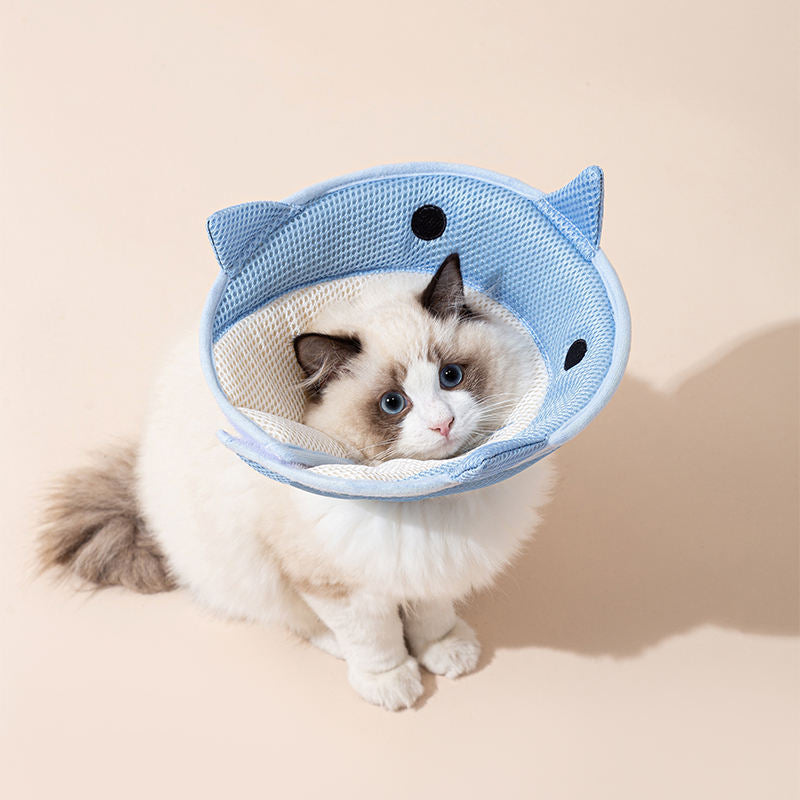 Soft Cat Recovery Collar – Comfortable Elizabethan Cone for Healing & Protection