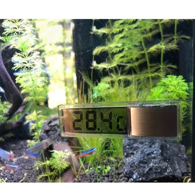 Digital Aquarium Thermometer – LCD Fish Tank Temperature Meter