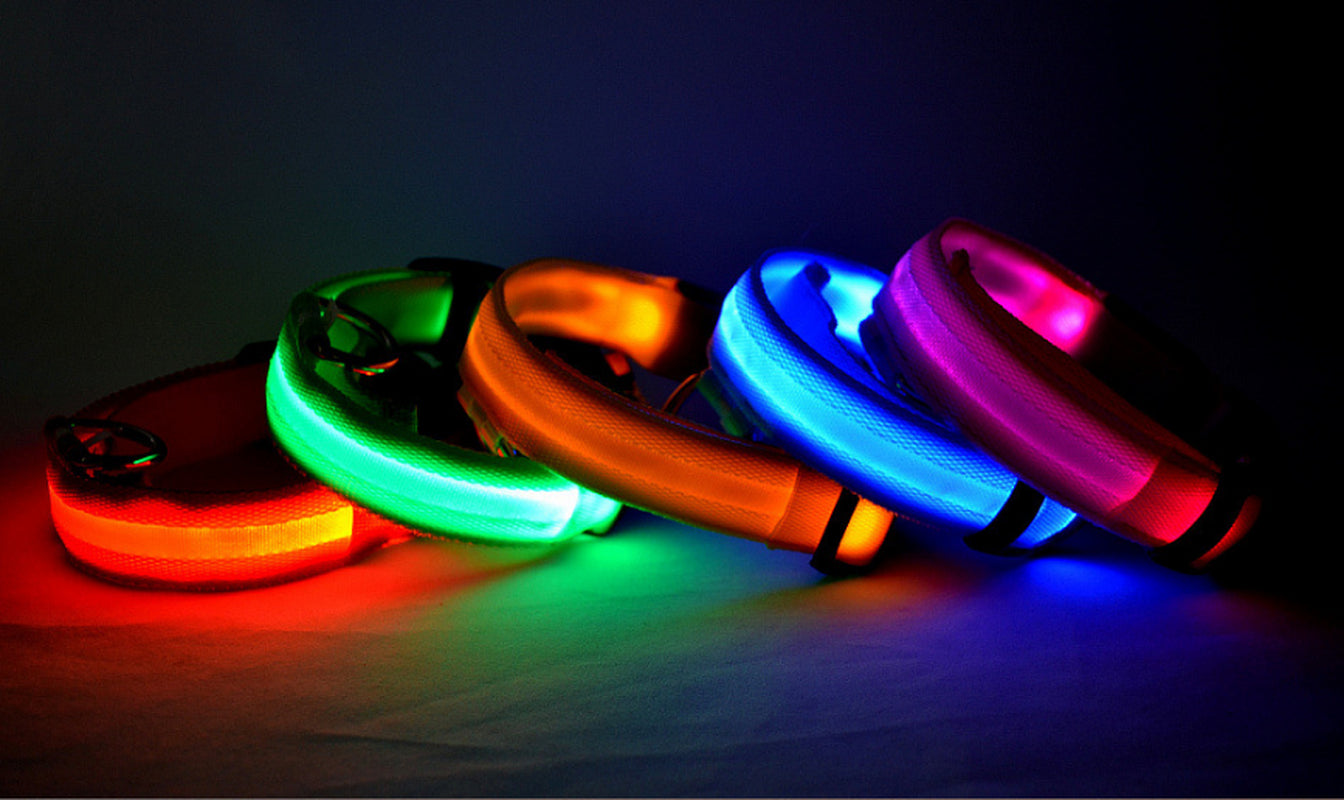LED Safety Glow Collar – USB Rechargeable Night Light Pet Collar