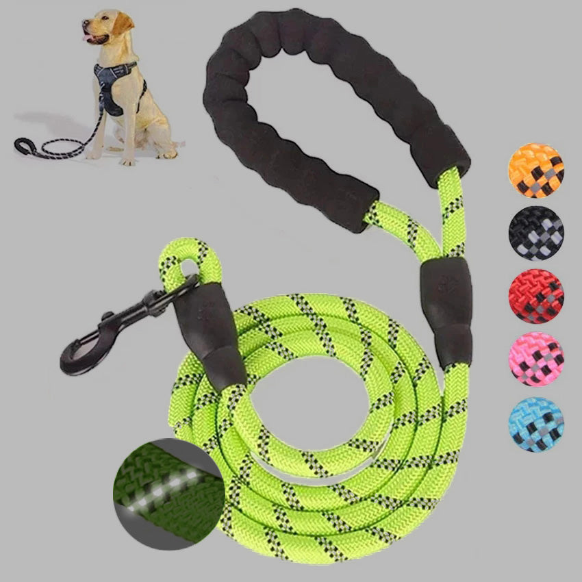 LED Luminous  Leash – Night Safety Light-Up Walking Lead for Small & Medium Pets