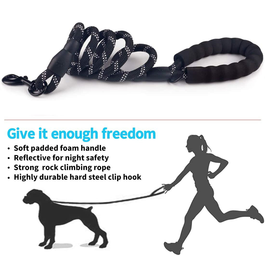 LED Luminous  Leash – Night Safety Light-Up Walking Lead for Small & Medium Pets